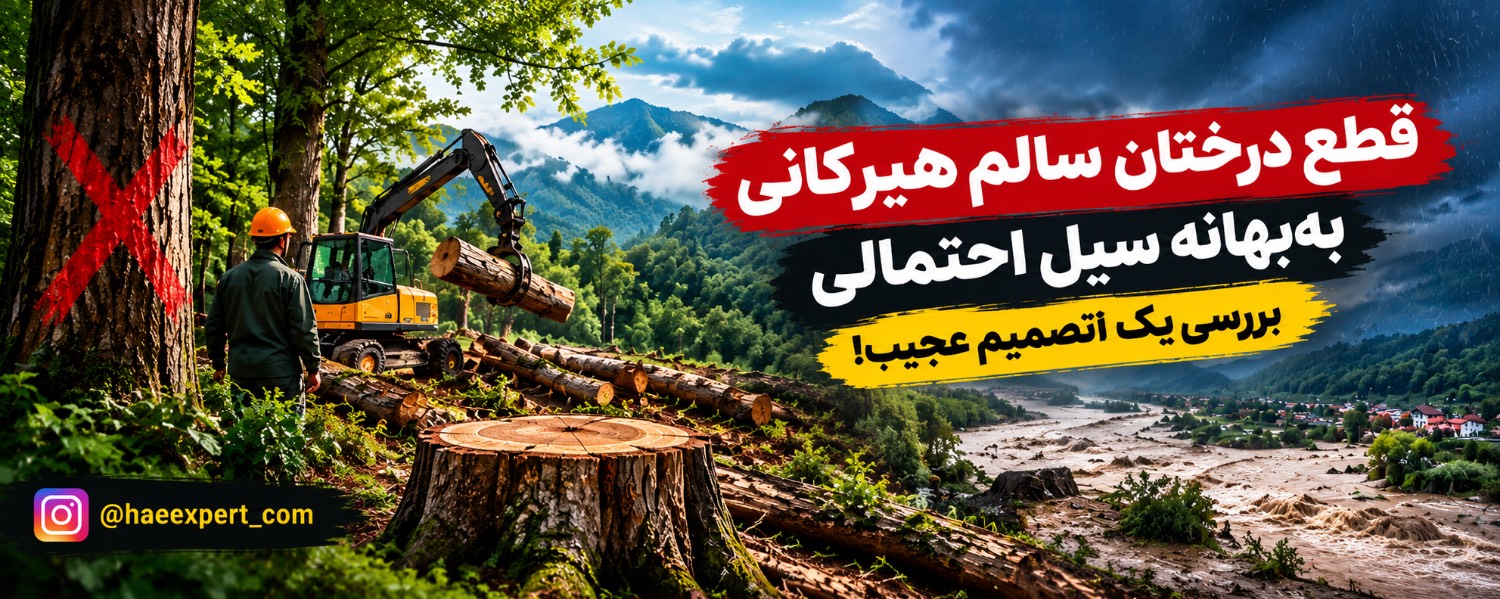 قطع درختان سالم هیرکانی به‌بهانه سیل احتمالی/ بررسی یک تصمیم عجیب!